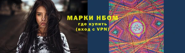 прущие грибы Беломорск