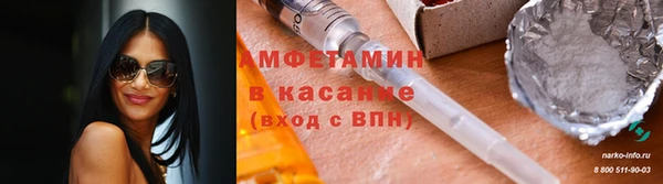 прущие грибы Беломорск
