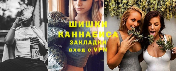 прущие грибы Беломорск