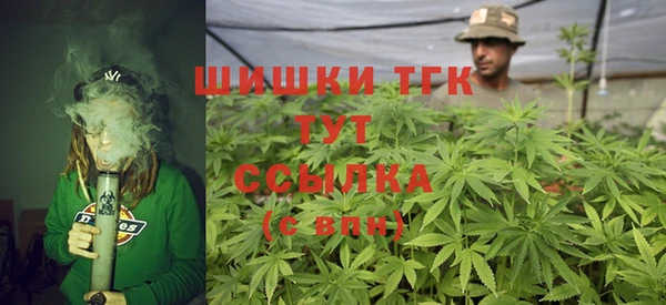 прущие грибы Беломорск