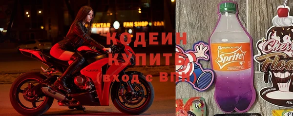 прущие грибы Беломорск