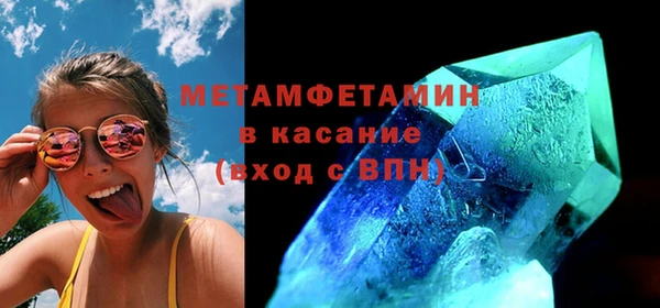 прущие грибы Беломорск