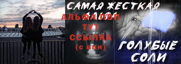 прущие грибы Беломорск