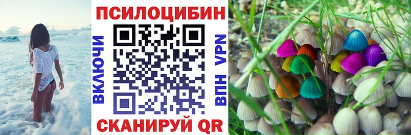 мориарти телеграм  Горно-Алтайск  Псилоцибиновые грибы мицелий 