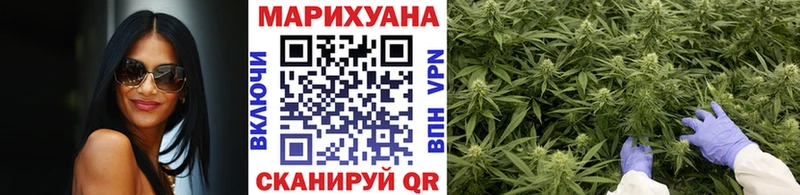 Конопля сатива  купить наркотики сайты  Горно-Алтайск 